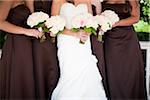 Bride Posing with Bridesmaids