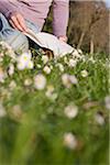 Woman Reading in Park