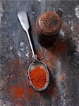Spoonful of paprika spice on countertop