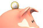 Piggy bank and euro coin