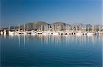 View across the harbour Port d'Alcudia, Mallorca, Balearic Islands, Spain, Mediterranean, Europe