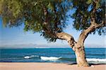 View across the Bay of Alcudia from seafront promenade, Colonia de Sant Pere, near Arta, Mallorca, Balearic Islands, Spain, Mediterranean, Europe