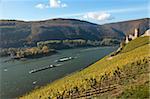 Mouse Tower near Bingen, Ehrenfels Castle, Rhine Valley, Rhineland-Palatinate, Germany, Europe