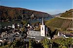 Assmannshausen, vallée du Rhin près de Rüdesheim, Hesse, Allemagne, Europe