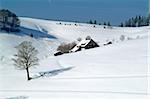 Paysage d'hiver à Schauinsland, forêt noire, Bade-Wurtemberg, Allemagne, Europe
