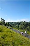 Cyclists on The Zig Zag, Box Hill, site of 2012 Olympics cycling road race, Surrey Hills, North Downs, Surrey, England, United Kingdom, Europe