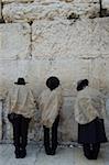 Juifs recouverts de sacs de jute en prière au mur des lamentations, vieille ville, Jérusalem, Israël, Moyen-Orient