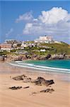 Plage de Newquay en été, Cornwall, Angleterre, Royaume-Uni, Europe