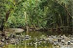 Emmagen Creek crossing, Daintree National Park, UNESCO World Heritage Site, Queensland, Australia, Pacific