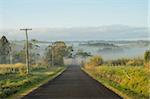 Route et des terres agricoles le matin brumeux, plateau d'Atherton, Queensland, Australie, Pacifique