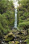 Erskine Falls, Great Otway National Park, Victoria, Australia, Pacific