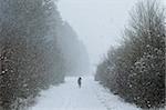 Winterlandschaft, in der Nähe von Villingen-Schwenningen, Schwarzwald, Baden-Württemberg, Deutschland, Europa