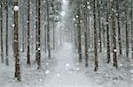 Winter landscape, near Villingen-Schwenningen, Black Forest, Baden-Wurttemberg, Germany, Europe