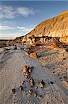 Badlands, Dinosaur Provincial Park, UNESCO World Heritage Site, Alberta, Canada, North America