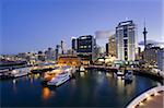 City skyline, Auckalnd, North Island, New Zealand, Pacific