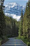 Road to Mount Edith Cavell, Jasper National Park, UNESCO World Heritage Site, British Columbia, Rocky Mountains, Canada, North America