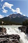 Chutes Athabasca, Parc National Jasper, l'UNESCO World Heritage Site, British Columbia, Rocky Mountains, Canada, Amérique du Nord