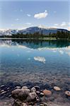 Reflexionen in Lake Beauvert, Jasper Nationalpark, UNESCO World Heritage Site, British Columbia, Rocky Mountains, Kanada, Nordamerika