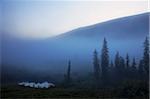 Brouillard matinal dans le Parc Provincial de Wells Grey, en Colombie-Britannique, Canada, en Amérique du Nord