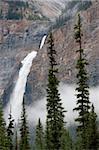 Takakkaw Falls, Parc National de Yoho, l'UNESCO World Heritage Site, British Columbia, Rocky Mountains, Canada, Amérique du Nord