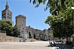 Notre Dame des Doms Cathedral and Palais des Papes, UNESCO World Heritage Site, Avignon, Provence, France, Europe