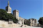 Cathédrale Notre-Dame des Doms et Palais des Papes (Palais des Papes), patrimoine mondial UNESCO, Provence, Avignon, France, Europe