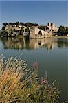 Pont Saint-Benezet and Avignon city viewed from across the River Rhone, Avignon, Provence, France, Europe