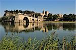 Pont Saint-Benezet and Avignon city viewed from across the River Rhone, Avignon, Provence, France, Europe