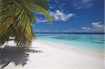 Plage vide sur une île tropicale, Maldives, océan Indien, Asie