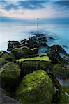 An algae-clad stone groyne at Mudeford, Dorset, England, United Kingdom, Europe