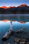 Frosted driftwood in the shallows of Patricia Lake at first light, Jasper National Park, UNESCO World Heritage Site, Alberta, Rocky Mountains, Canada, North America