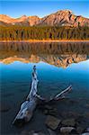 Early morning sunshine glows on Pyramid Mountain, its reflection mirrorlike in Patricia Lake, Jasper National Park, UNESCO World Heritage Site, Alberta, Rocky Mountains, Canada, North America