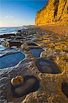 The golden coloured cliffs and ledges of Burton Bradstock, Jurassic Coast, UNESCO World Heritage Site, Dorset, England, United Kingdom, Europe