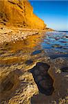 Golden sandstone Burton Cliff, Burton Bradstock, Jurassic Coast, UNESCO World Heritage Site, Dorset, England, United Kingdom, Europe