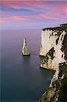 Les Pinnacles près de Old Harry Rocks Ballard Down, Côte Jurassique, patrimoine mondial de l'UNESCO, Dorset, Angleterre, Royaume-Uni, Europe