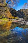 Golden autumnal colours along the banks of a stream in Arrowtown, Otago, South Island, New Zealand, Pacific