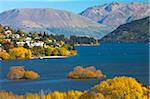 Automne splendeur à côté du lac Wakatipu, Queenstown, île du Sud, Nouvelle-Zélande, Pacifique