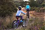 Familie Radfahren entlang Heideland verfolgt bei Sonnenuntergang, Holt Heath, Dorset, England, Vereinigtes Königreich, Europa
