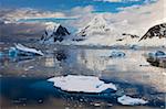 Pingouins flottant sur un iceberg dans le détroit de Gerlache, péninsule de l'Antarctique, l'Antarctique, les régions polaires