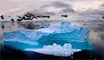 Eaux iceberg à la dérive dans l'Antarctique, péninsule de l'Antarctique, l'Antarctique, les régions polaires