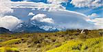 El Chalten mountains within Los Glaciares National Park, UNESCO World Heritage Site, Patagonia, Argentina, South America