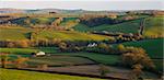 Rolling fields near the village of Black Dog in the Devonshire countryside, Devon, England, United Kingdom, Europe