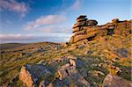 Fin après-midi soleil brille sur les formations rocheuses de granit de grande agrafe Tor dans le Parc National de Dartmoor, Devon, Angleterre, Royaume-Uni, Europe