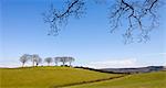 Exmoor countryside near Luccombe, Exmoor National Park, Somerset, England, United Kingdom, Europe