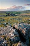 Grande agrafe Tor, Dartmoor, Devon, Angleterre, Royaume-Uni, Europe
