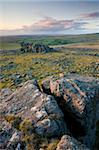 Große Grundnahrungsmittel Tor, Dartmoor, Devon, England, Vereinigtes Königreich, Europa