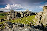 Affleurements de granit à Houndtor, Parc National de Dartmoor, Devon, Angleterre, Royaume-Uni, Europe