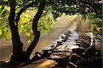 Misty summer morning by Tarr Steps clapper bridge, Exmoor National Park, Somerset, England, United Kingdom, Europe