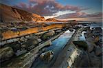 Afternoon light catching the rock ledges at Mupe Bay, Jurassic Coast, UNESCO World Heritage Site, Dorset, England, United Kingdom, Europe