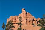 Brillamment coloré de cheminées de fées, Formations calcaires Claron, Red Canyon, forêt nationale de Dixie, Utah, États-Unis d'Amérique, Amérique du Nord